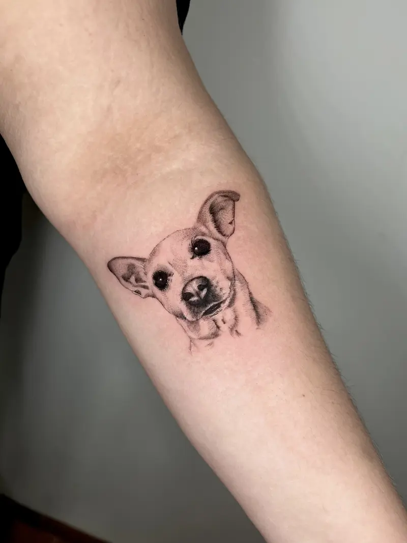 Retrato realista de perro pequeño en el antebrazo, blackwork.