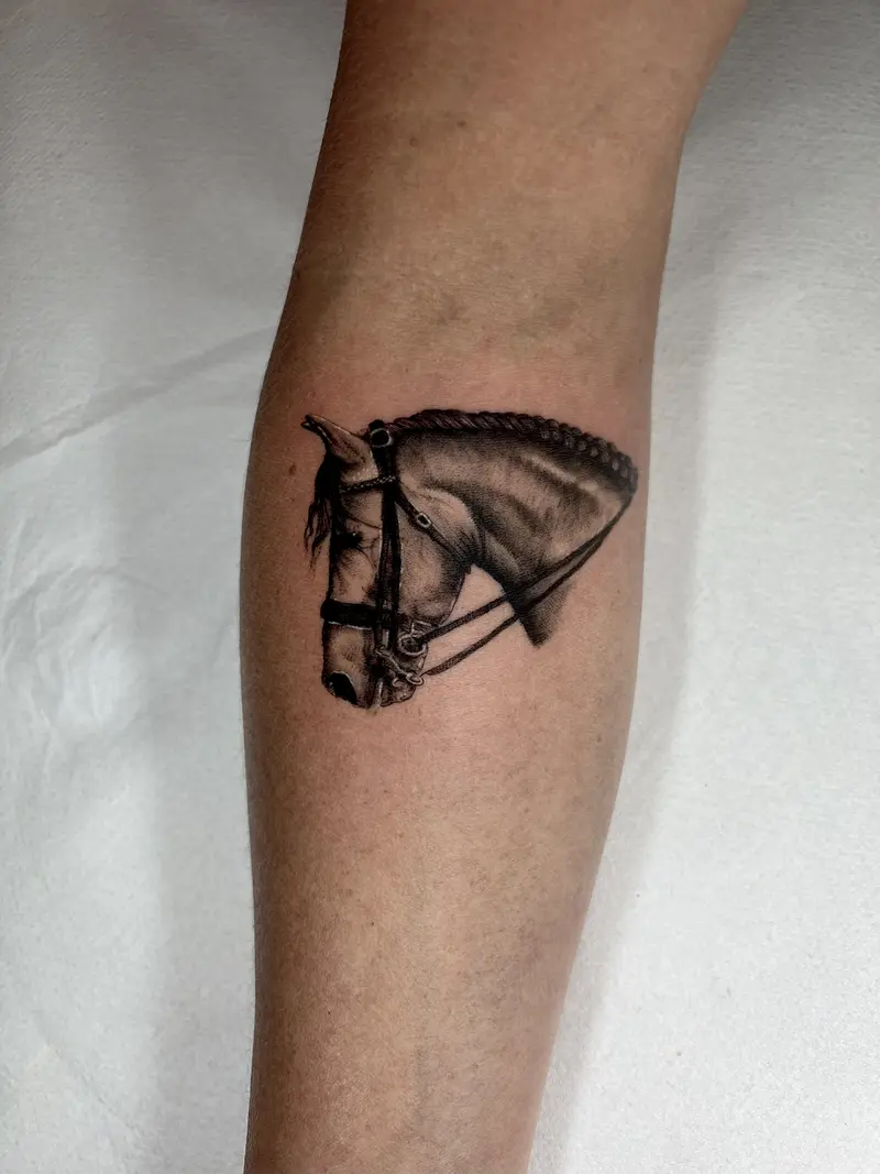 Cabeza de caballo en estilo realista, tatuaje blackwork.