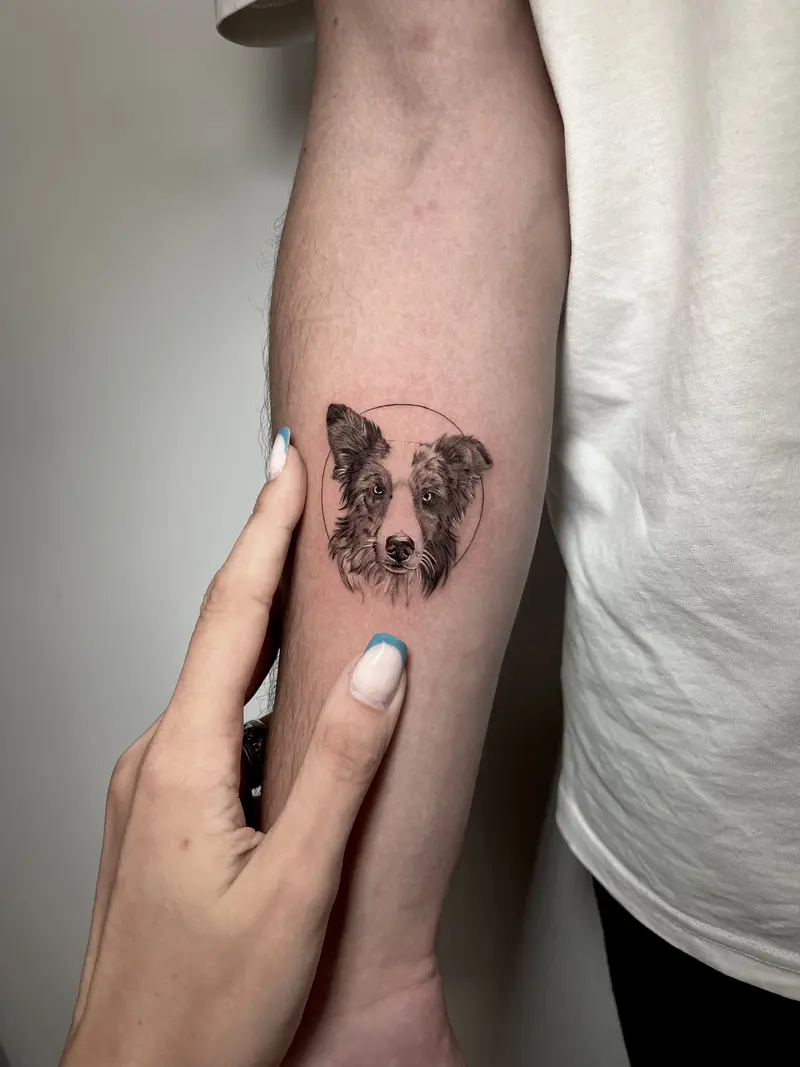 Retrato pequeño de perro tipo terrier en el antebrazo.