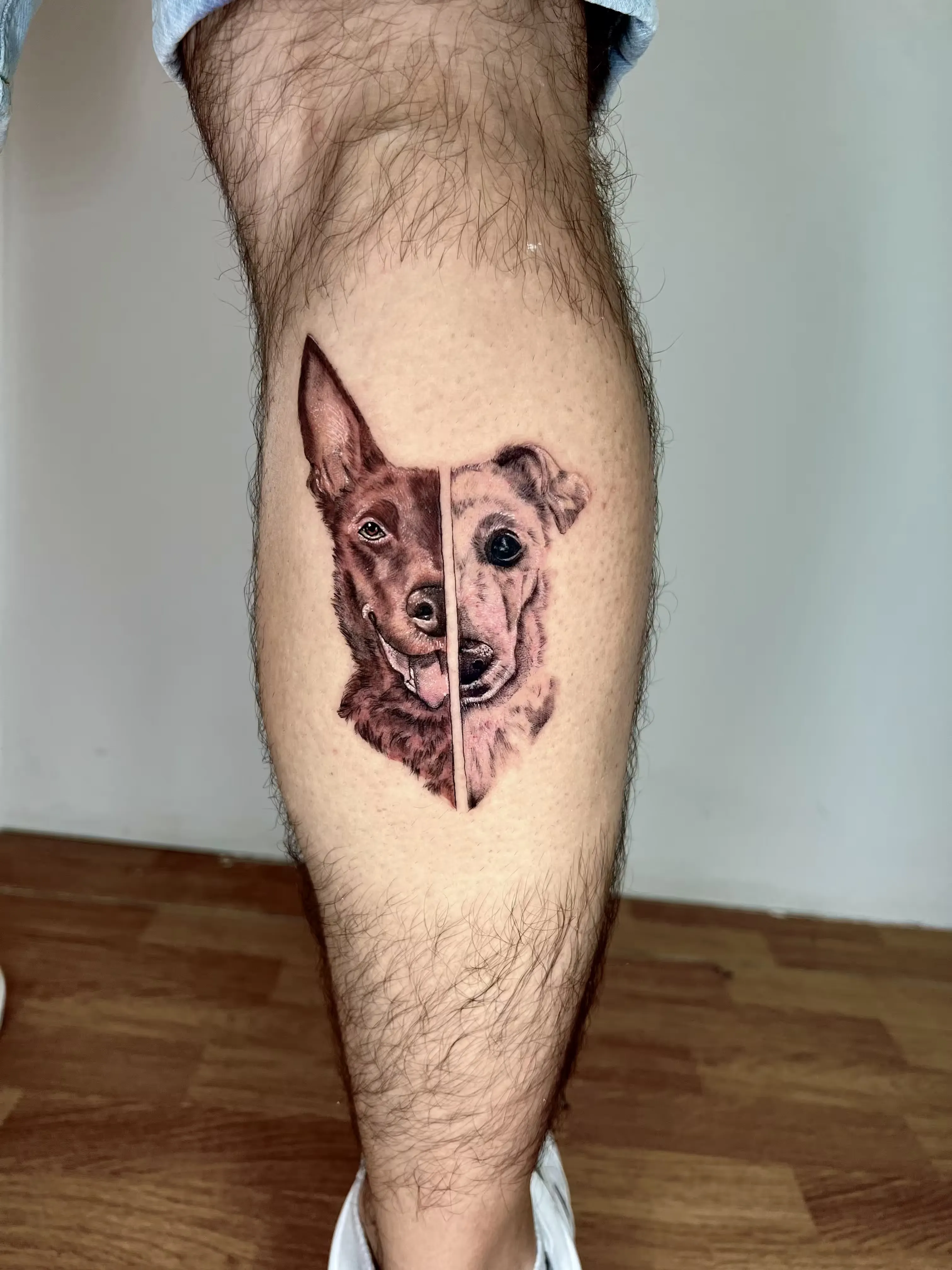 Tatuaje realista dividido en dos mitades: dos retratos de perro separados por una línea vertical, estilo black and grey.