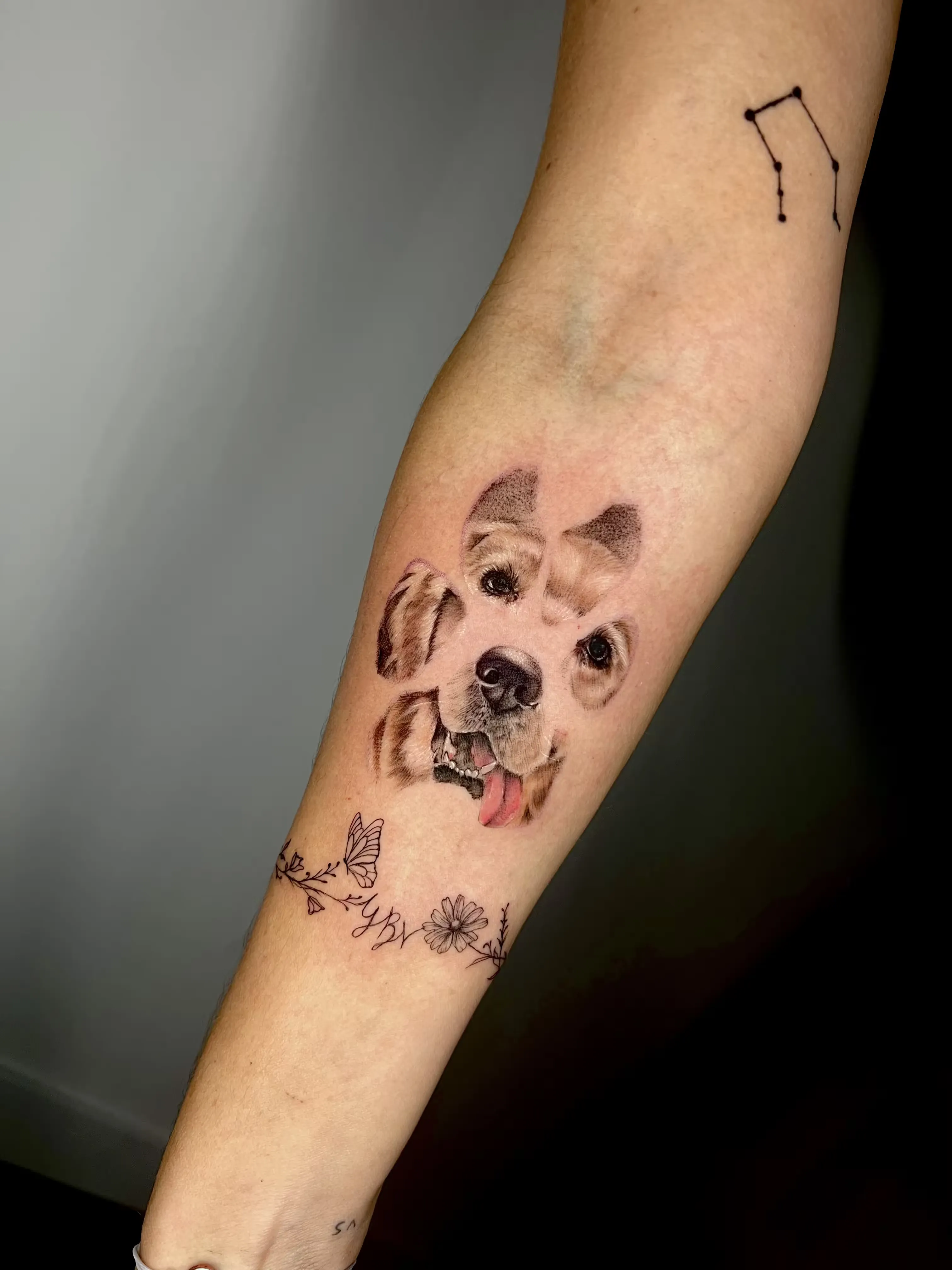 Retrato a color de perro con efecto fragmentado tipo collage, y pulsera floral en línea fina con mariposa e iniciales.