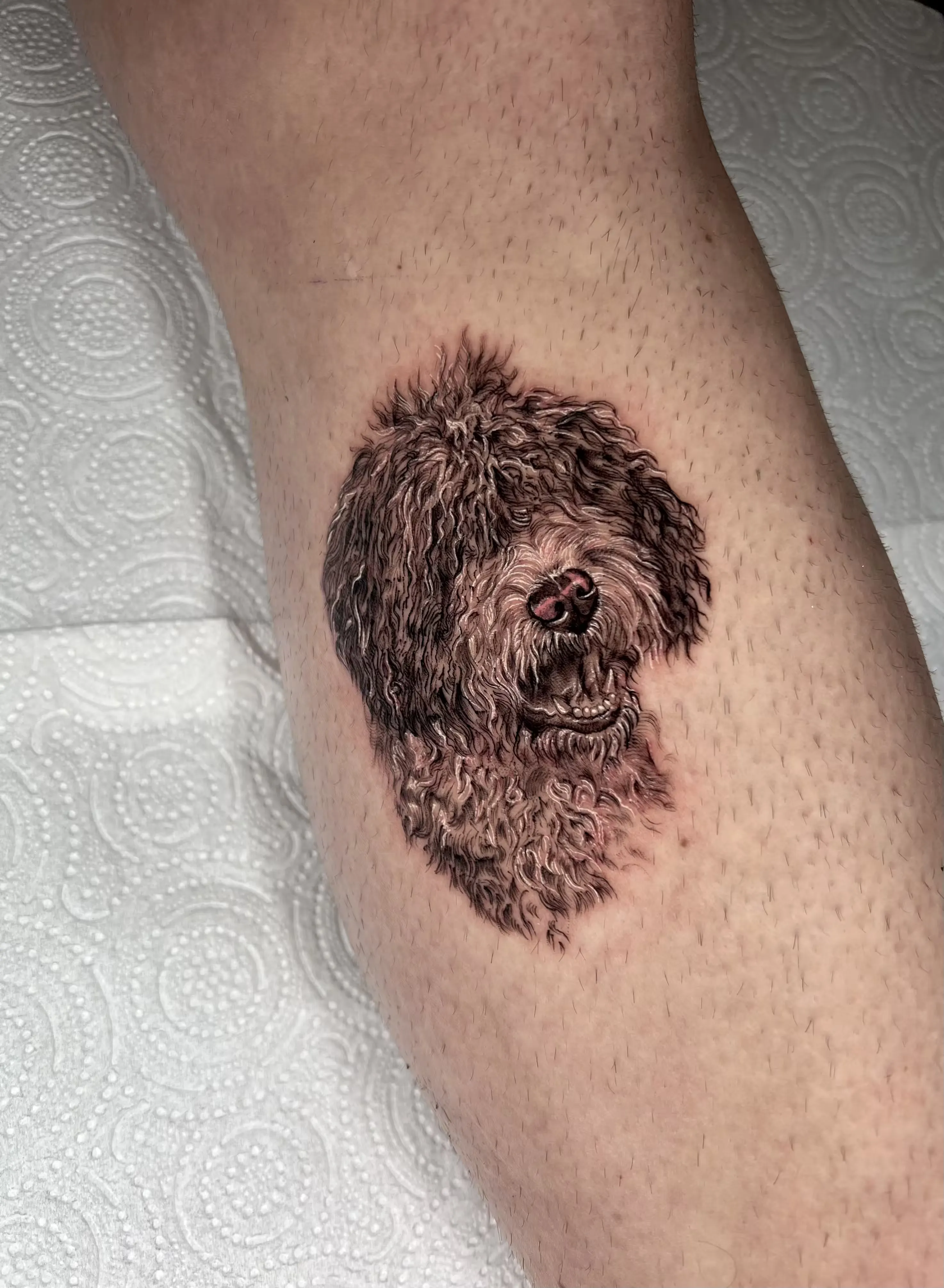 Retrato realista en black and grey de perro de pelo rizado con gran detalle de textura y volumen en el pelaje.