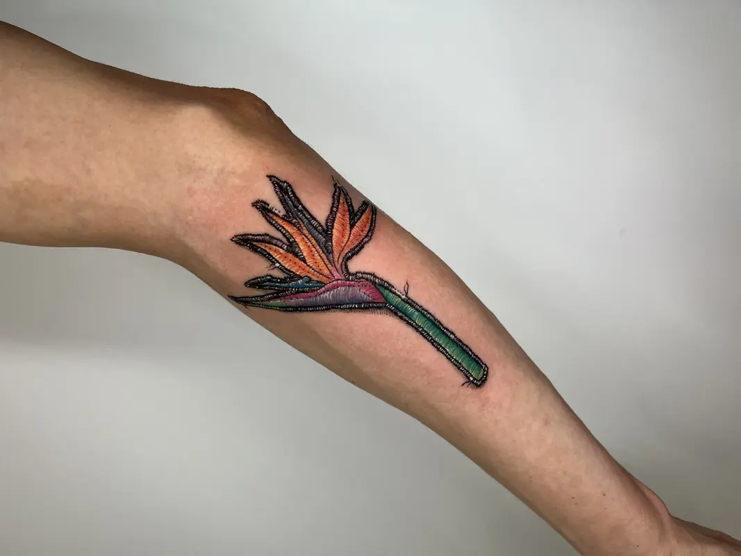 Tatuaje botánico a color de una flor ave del paraíso, con líneas definidas y sombreado suave.